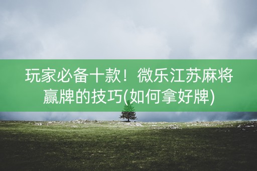 玩家必备十款！微乐江苏麻将赢牌的技巧(如何拿好牌)