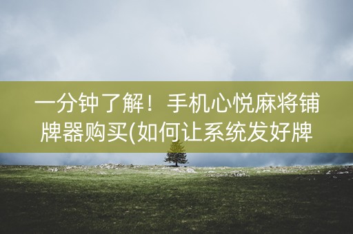 一分钟了解！手机心悦麻将铺牌器购买(如何让系统发好牌)