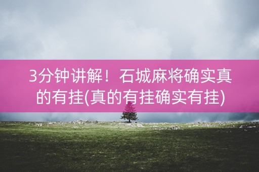 3分钟讲解！石城麻将确实真的有挂(真的有挂确实有挂)