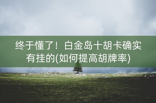 终于懂了！白金岛十胡卡确实有挂的(如何提高胡牌率)