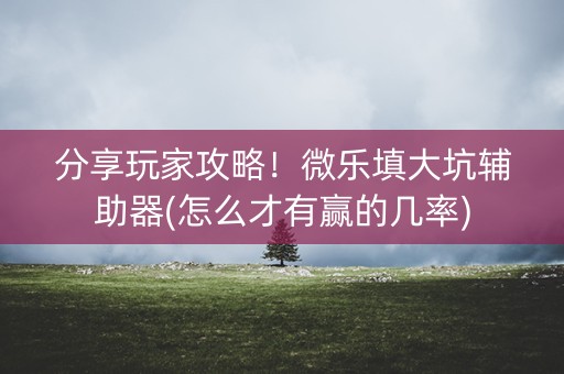 分享玩家攻略！微乐填大坑辅助器(怎么才有赢的几率)