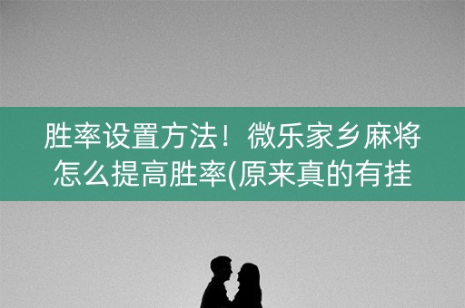 胜率设置方法！微乐家乡麻将怎么提高胜率(原来真的有挂)