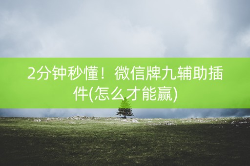 2分钟秒懂！微信牌九辅助插件(怎么才能赢)