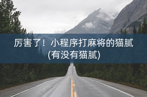 厉害了！小程序打麻将的猫腻(有没有猫腻)