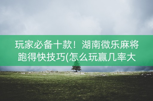 玩家必备十款！湖南微乐麻将跑得快技巧(怎么玩赢几率大)