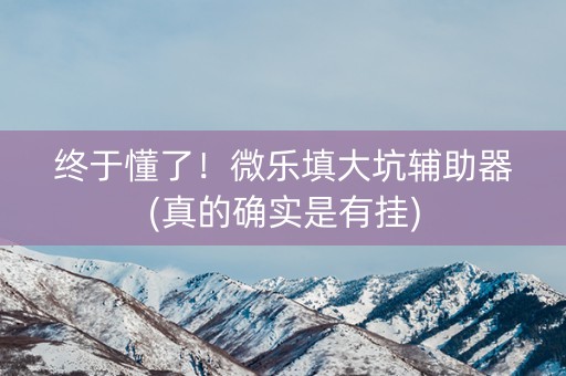 终于懂了！微乐填大坑辅助器(真的确实是有挂)