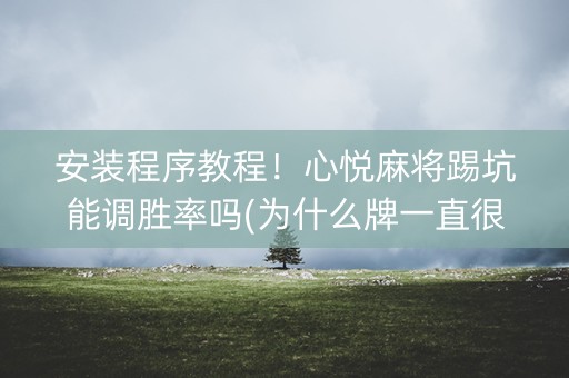 安装程序教程！心悦麻将踢坑能调胜率吗(为什么牌一直很差)