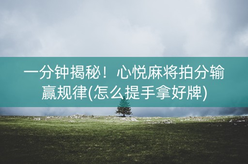一分钟揭秘！心悦麻将拍分输赢规律(怎么提手拿好牌)