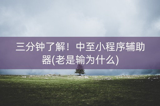 三分钟了解！中至小程序辅助器(老是输为什么)