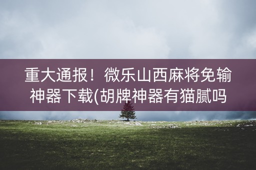 重大通报！微乐山西麻将免输神器下载(胡牌神器有猫腻吗)