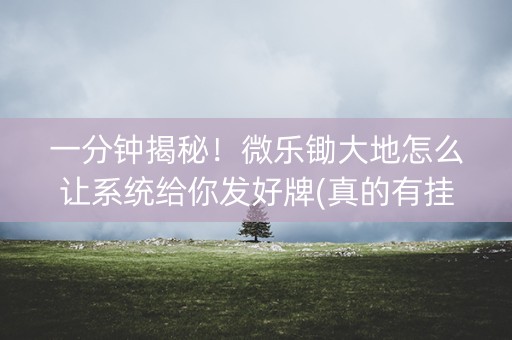 一分钟揭秘！微乐锄大地怎么让系统给你发好牌(真的有挂确实有挂)