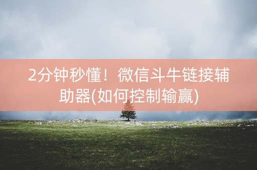 2分钟秒懂！微信斗牛链接辅助器(如何控制输赢)