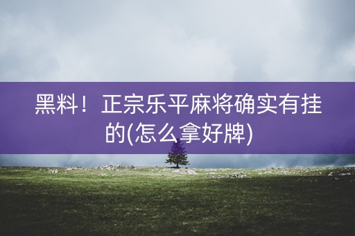 黑料！正宗乐平麻将确实有挂的(怎么拿好牌)