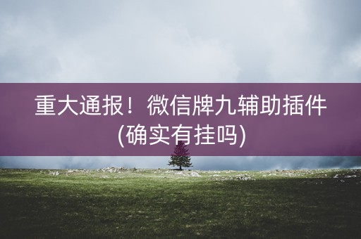 重大通报！微信牌九辅助插件(确实有挂吗)