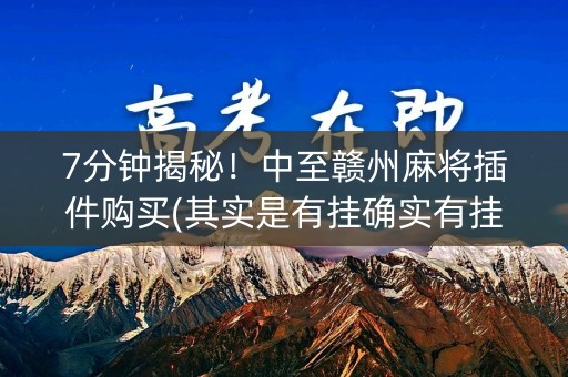 7分钟揭秘！中至赣州麻将插件购买(其实是有挂确实有挂)