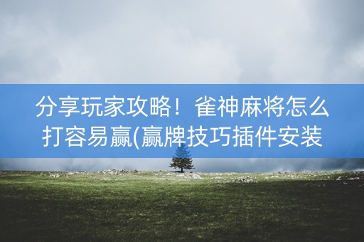 分享玩家攻略！雀神麻将怎么打容易赢(赢牌技巧插件安装)