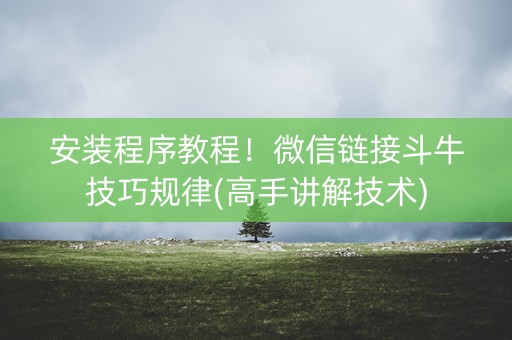 安装程序教程！微信链接斗牛技巧规律(高手讲解技术)