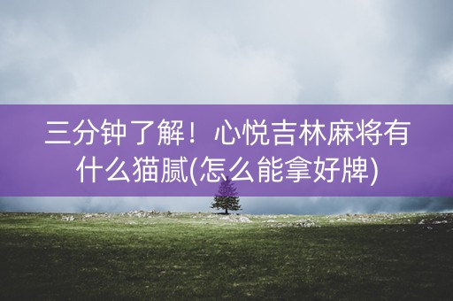 三分钟了解！心悦吉林麻将有什么猫腻(怎么能拿好牌)