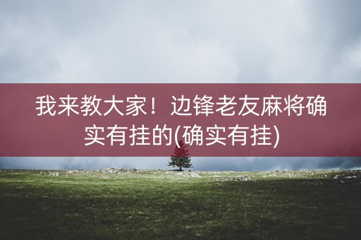 我来教大家！边锋老友麻将确实有挂的(确实有挂)