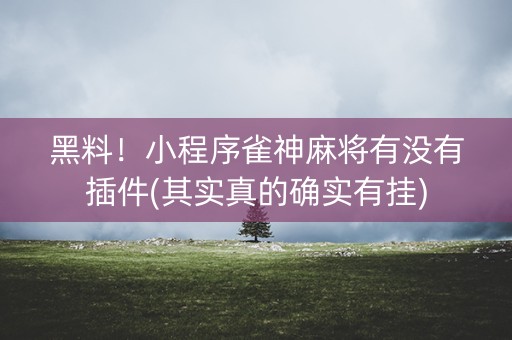 黑料！小程序雀神麻将有没有插件(其实真的确实有挂)