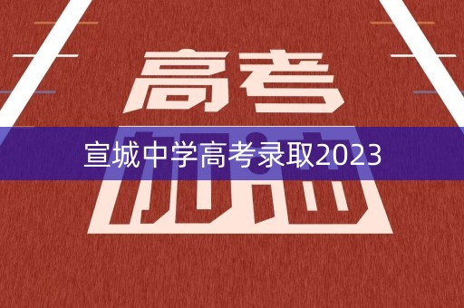 宣城中学高考录取2023