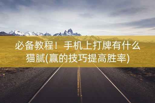 必备教程！手机上打牌有什么猫腻(赢的技巧提高胜率)