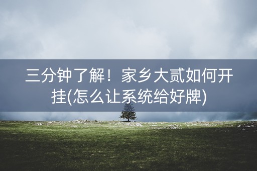 三分钟了解！家乡大贰如何开挂(怎么让系统给好牌)