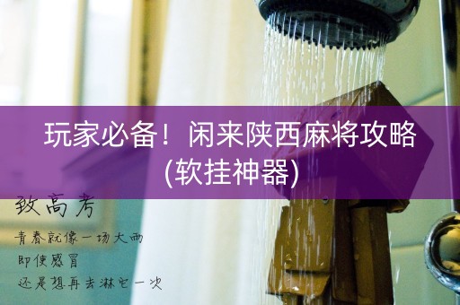玩家必备！闲来陕西麻将攻略(软挂神器)