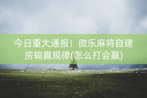 今日重大通报！微乐麻将自建房输赢规律(怎么打会赢)