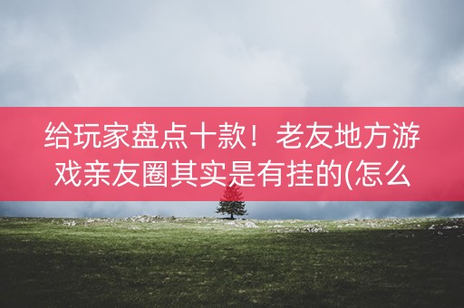 给玩家盘点十款！老友地方游戏亲友圈其实是有挂的(怎么抓到好牌)