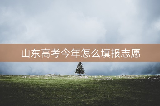 山东高考今年怎么填报志愿