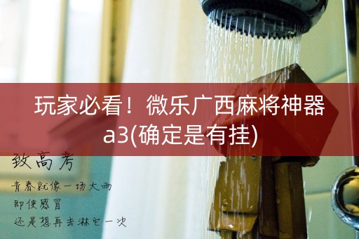 玩家必看！微乐广西麻将神器a3(确定是有挂)