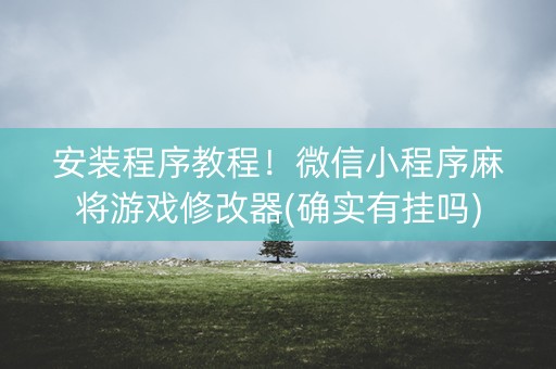 安装程序教程！微信小程序麻将游戏修改器(确实有挂吗)