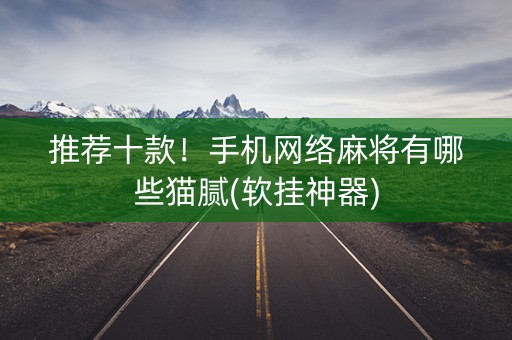 推荐十款！手机网络麻将有哪些猫腻(软挂神器)