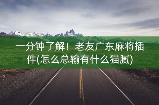 一分钟了解！老友广东麻将插件(怎么总输有什么猫腻)