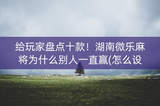 给玩家盘点十款！湖南微乐麻将为什么别人一直赢(怎么设置胡牌)