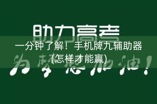 一分钟了解！手机牌九辅助器(怎样才能赢)
