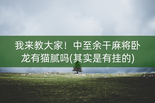 我来教大家！中至余干麻将卧龙有猫腻吗(其实是有挂的)