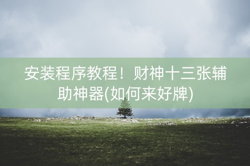 安装程序教程！财神十三张辅助神器(如何来好牌)