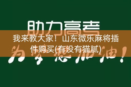我来教大家！山东微乐麻将插件购买(有没有猫腻)