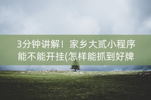 3分钟讲解！家乡大贰小程序能不能开挂(怎样能抓到好牌)