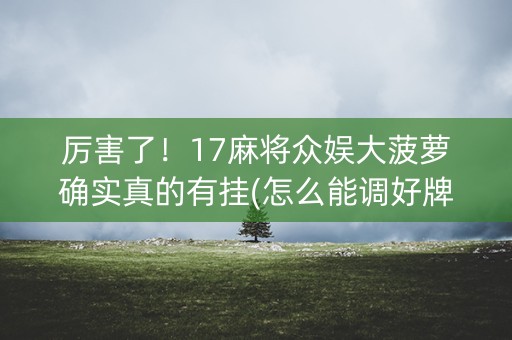 厉害了！17麻将众娱大菠萝确实真的有挂(怎么能调好牌)