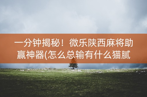 一分钟揭秘！微乐陕西麻将助赢神器(怎么总输有什么猫腻)