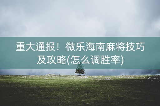 重大通报！微乐海南麻将技巧及攻略(怎么调胜率)