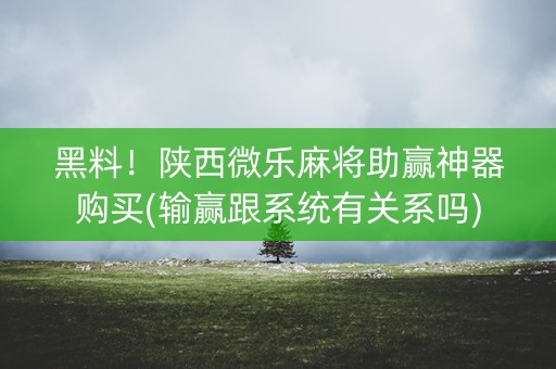 黑料！陕西微乐麻将助赢神器购买(输赢跟系统有关系吗)