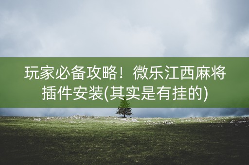 玩家必备攻略！微乐江西麻将插件安装(其实是有挂的)