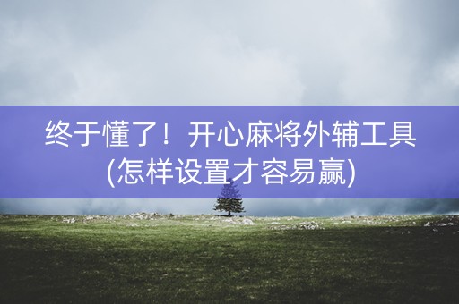 终于懂了！开心麻将外辅工具(怎样设置才容易赢)