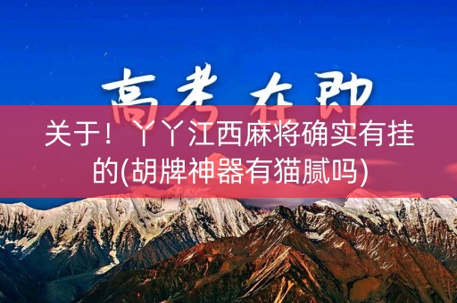 关于！丫丫江西麻将确实有挂的(胡牌神器有猫腻吗)