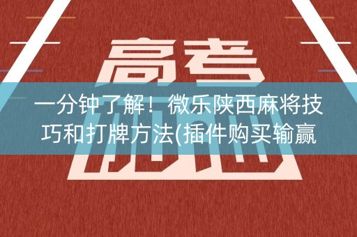 一分钟了解！微乐陕西麻将技巧和打牌方法(插件购买输赢规律)