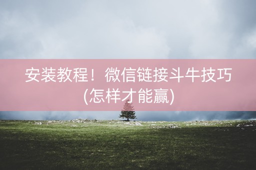 安装教程！微信链接斗牛技巧(怎样才能赢)